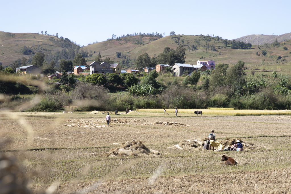 madagascar, sustainable