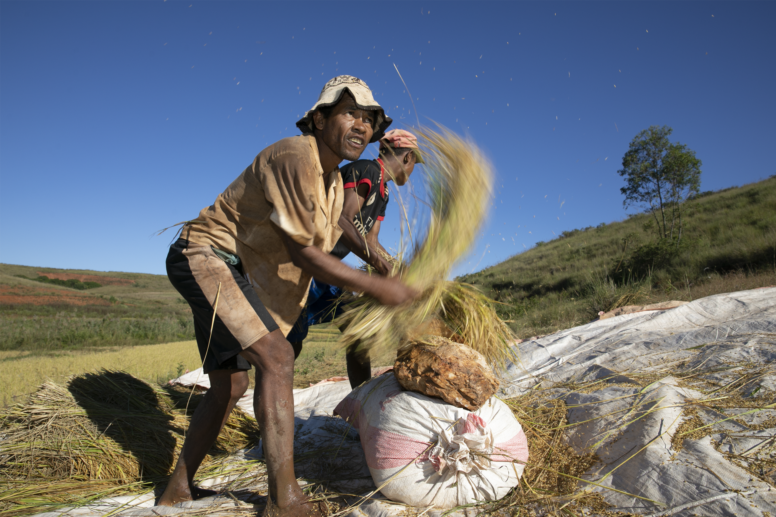 agriculture_2